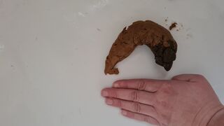 2nd Poo take two, first didn't upload properly., ScatKings.com Scat Porn 3 ScatKings.com Scat Porn