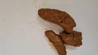 9th poo., ScatKings.com Scat Porn 2 ScatKings.com Scat Porn