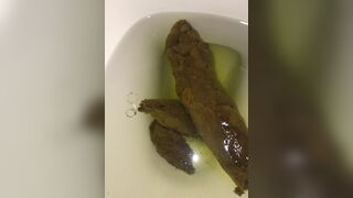 Girlfriends mega log, ScatKings.com Scat Porn 1 ScatKings.com Scat Porn