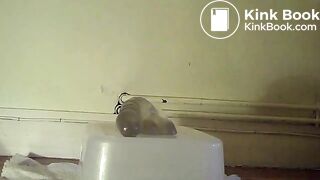 Gros plan suçage de gode merdeux, ScatKings.com Scat Porn 6 ScatKings.com Scat Porn