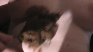 Homemade scatcouple19, ScatKings.com Scat Porn 17 ScatKings.com Scat Porn