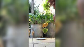 Hot girl shitting outdoors on a plate, ScatKings.com Scat Porn 9 ScatKings.com Scat Porn