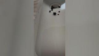 Huge and Hard poop, ScatKings.com Scat Porn 8 ScatKings.com Scat Porn