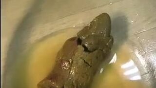 Japanese Amature Teen Pooping Compilation, ScatKings.com Scat Porn 15 ScatKings.com Scat Porn