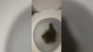 My friend takes huge shits, ScatKings.com Scat Porn 8 ScatKings.com Scat Porn