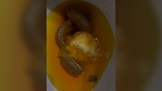 My wife’s big poop, ScatKings.com Scat Porn 3 ScatKings.com Scat Porn