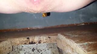 POOPING WITH CUM, ScatKings.com Scat Porn 5 ScatKings.com Scat Porn