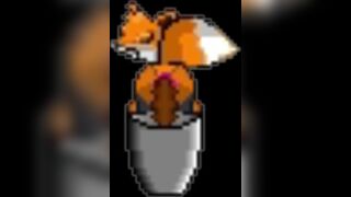 Pooping Fox, ScatKings.com Scat Porn 5 ScatKings.com Scat Porn