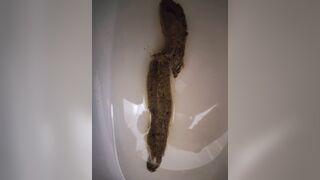 Pooping - video 483, ScatKings.com Scat Porn 1 ScatKings.com Scat Porn