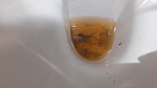 Seriously full of shit this morning, ScatKings.com Scat Porn 7 ScatKings.com Scat Porn