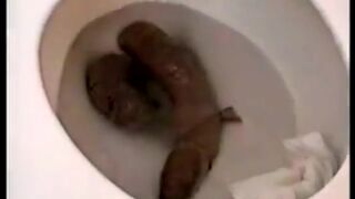 Sexy pooping - video 118, ScatKings.com Scat Porn 14 ScatKings.com Scat Porn