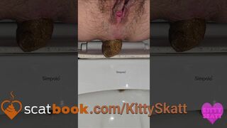 Stinky turd into toilet - video 2, ScatKings.com Scat Porn 13 ScatKings.com Scat Porn