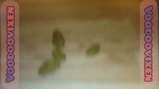 bbw twerks n shits, ScatKings.com Scat Porn 1 ScatKings.com Scat Porn