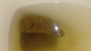 wife pooping - video 22, ScatKings.com Scat Porn 11 ScatKings.com Scat Porn